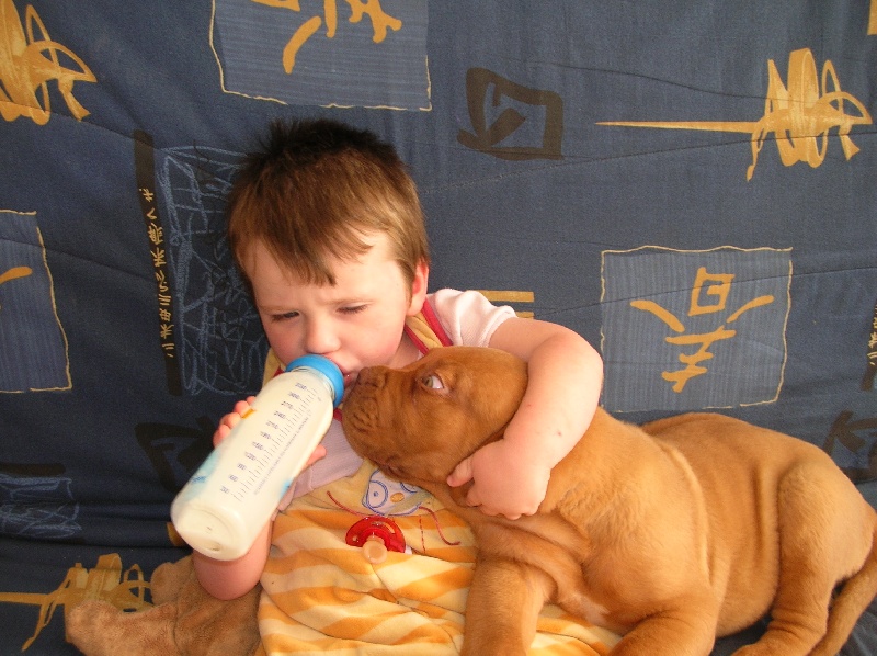 Publication : de la forêt des Korrigans