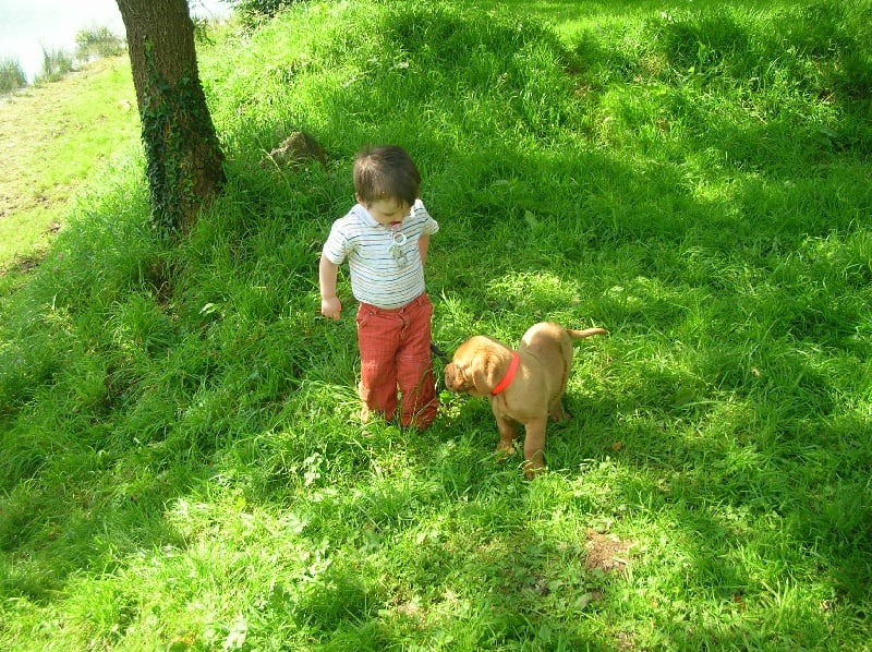 Publication : de la forêt des Korrigans
