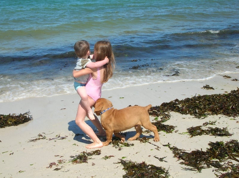 Publication : de la forêt des Korrigans