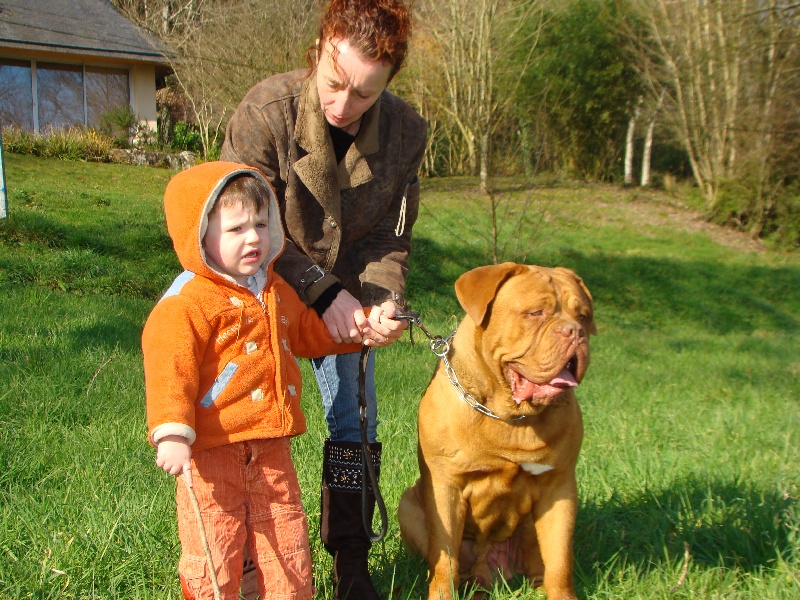 Publication : de la forêt des Korrigans