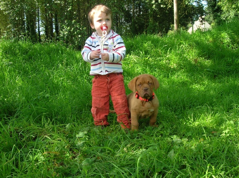 Moctezuma del dominio de los penates Titre Initial - Ring d'honneur