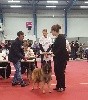 - Suite des résultats de l'expo de Toulouse...