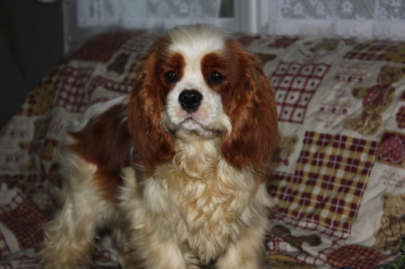 Publication : du Domaine du Sable Blanc