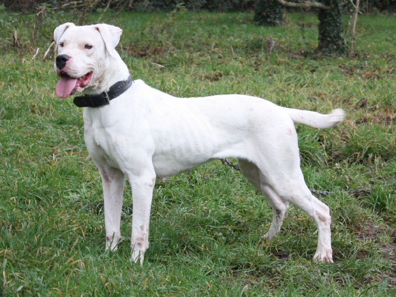 Publication : du Domaine du Sable Blanc Auteur : Le Domaine Du Sable Blanc