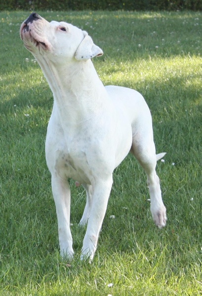 Publication : du Domaine du Sable Blanc Auteur : Delphine