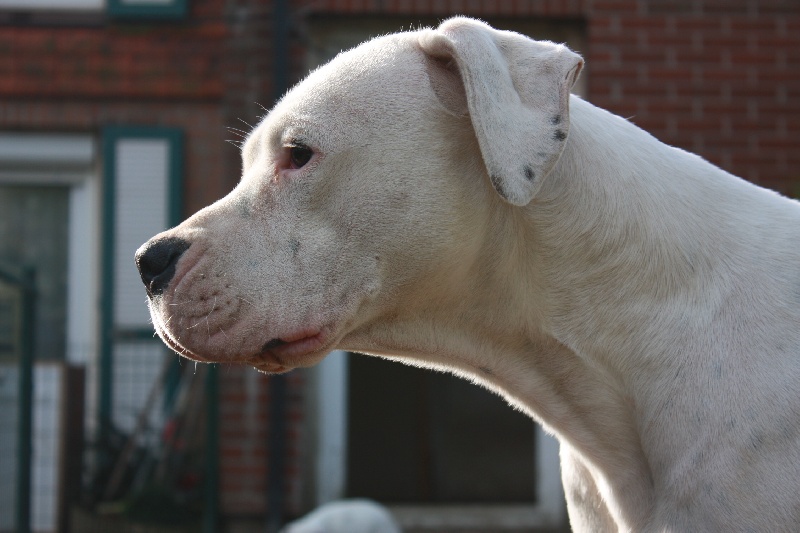 Publication : du Domaine du Sable Blanc Auteur : Delphine