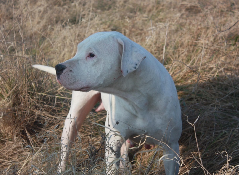 Publication : du Domaine du Sable Blanc Auteur : Delphine