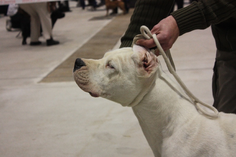 Publication : du Domaine du Sable Blanc Auteur : Delphine