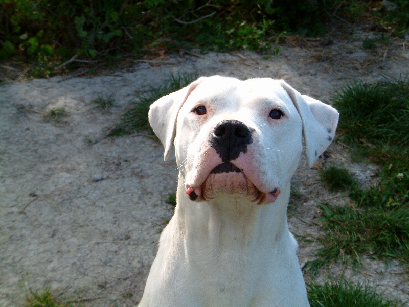 Publication : du Domaine du Sable Blanc Auteur : Delphine