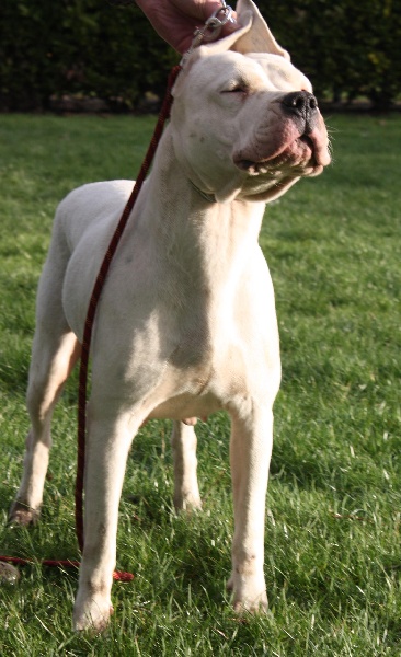 Publication : du Domaine du Sable Blanc Auteur : Delphine