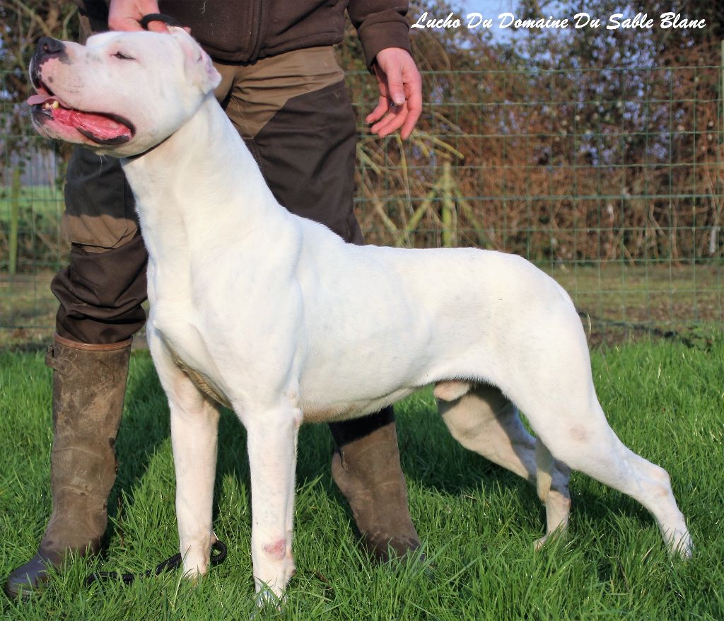 Publication : du Domaine du Sable Blanc Auteur : Le Domaine Du Sable Blanc