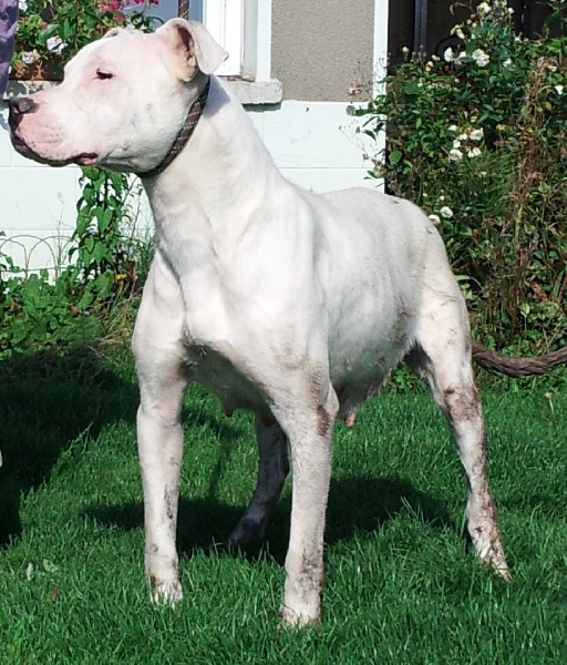 Publication : du Domaine du Sable Blanc Auteur : Le Domaine Du Sable Blanc