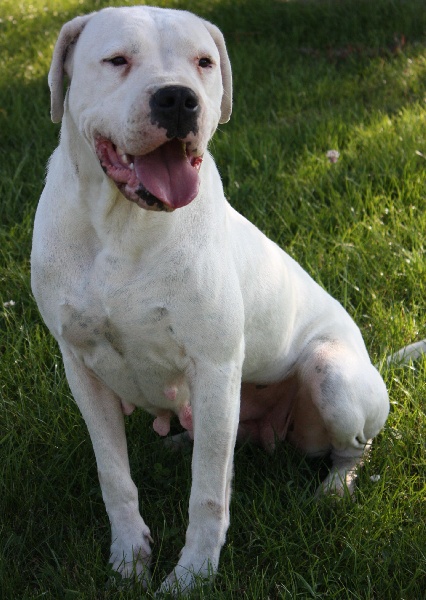 Publication : du Domaine du Sable Blanc Auteur : Delphine