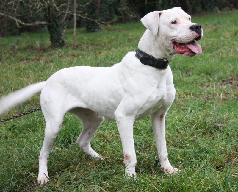 Publication : du Domaine du Sable Blanc Auteur : Le Domaine Du Sable Blanc