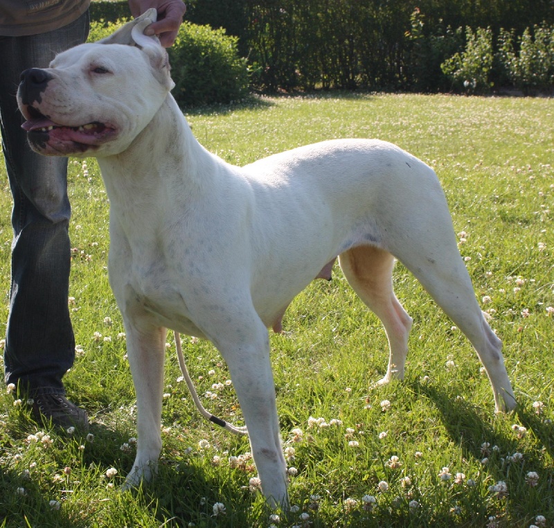 Publication : du Domaine du Sable Blanc Auteur : Delphine