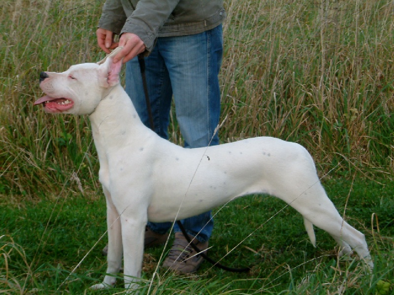 Publication : du Domaine du Sable Blanc Auteur : Delphine