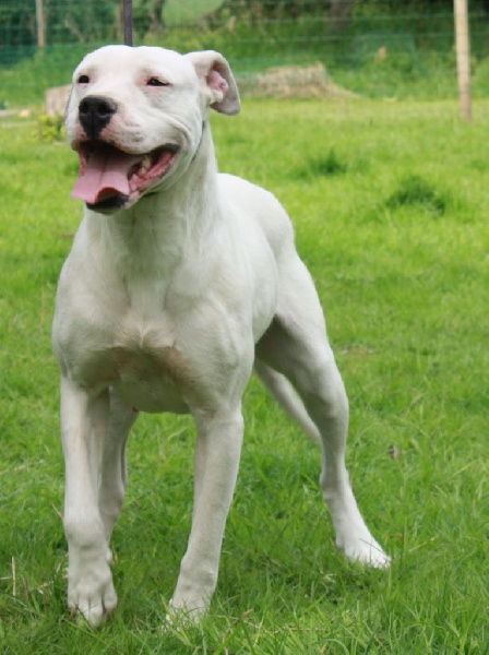 Publication : du Domaine du Sable Blanc Auteur : Le Domaine Du Sable Blanc