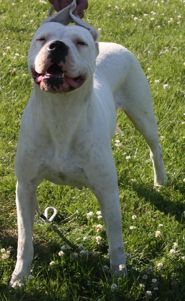 Publication : du Domaine du Sable Blanc Auteur : Delphine