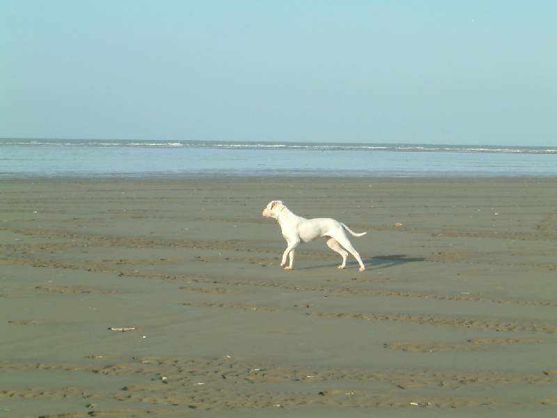 Publication : du Domaine du Sable Blanc Auteur : Delphine