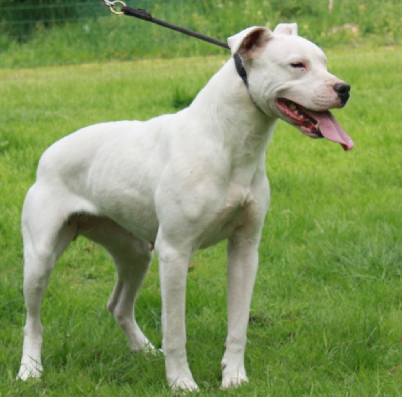 Publication : du Domaine du Sable Blanc Auteur : Le Domaine Du Sable Blanc