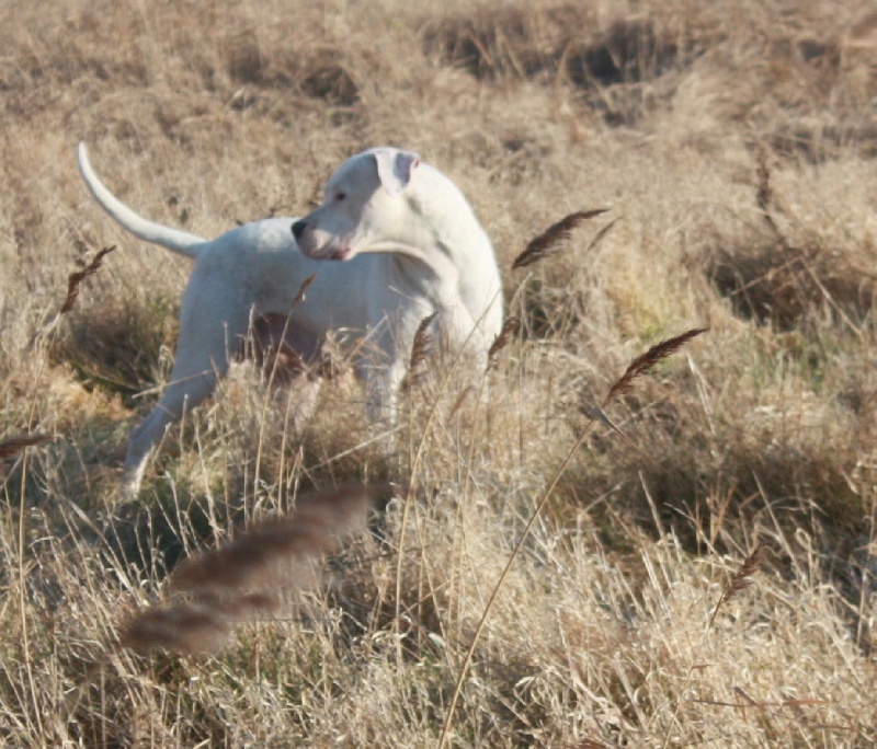 Publication : du Domaine du Sable Blanc Auteur : Delphine