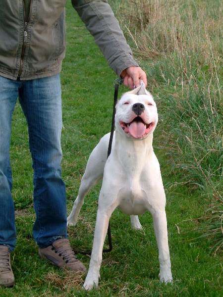 Publication : du Domaine du Sable Blanc Auteur : Delphine