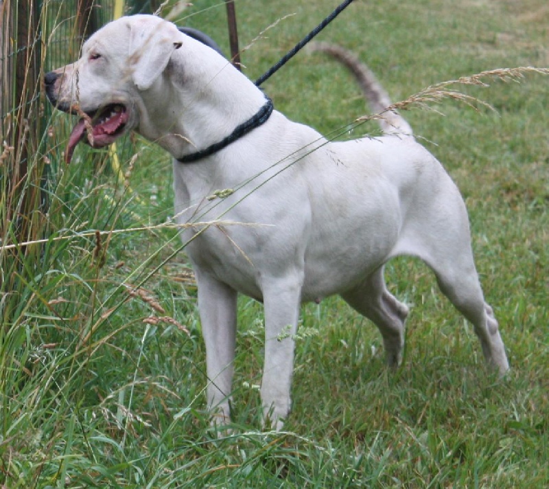 Publication : du Domaine du Sable Blanc Auteur : Le Domaine Du Sable Blanc