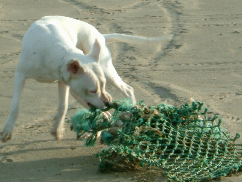 Publication : du Domaine du Sable Blanc Auteur : Delphine