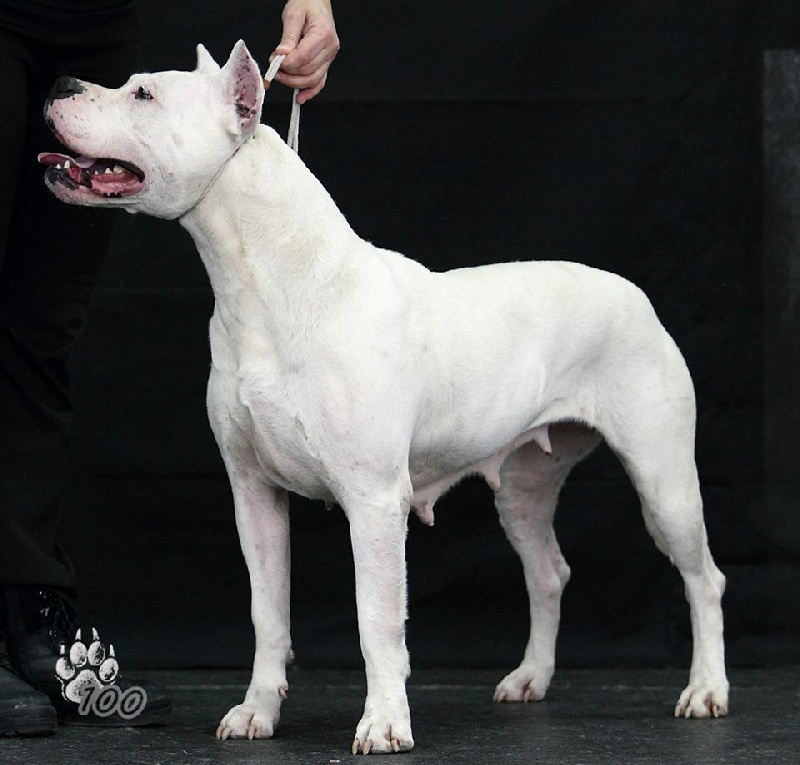 Publication : du Domaine du Sable Blanc Auteur : Le Domaine Du Sable Blanc