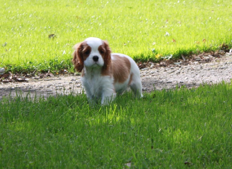 Publication : du Domaine du Sable Blanc