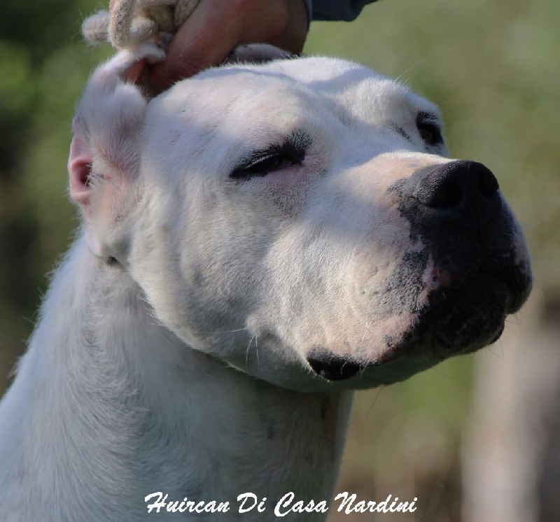 Publication : du Domaine du Sable Blanc Auteur : Le Domaine Du Sable Blanc