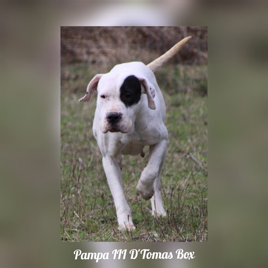 Publication : du Domaine du Sable Blanc Auteur : Le Domaine Du Sable Blanc