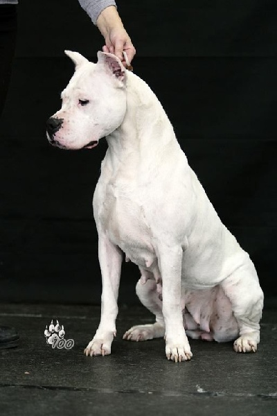 Publication : du Domaine du Sable Blanc Auteur : Le Domaine Du Sable Blanc