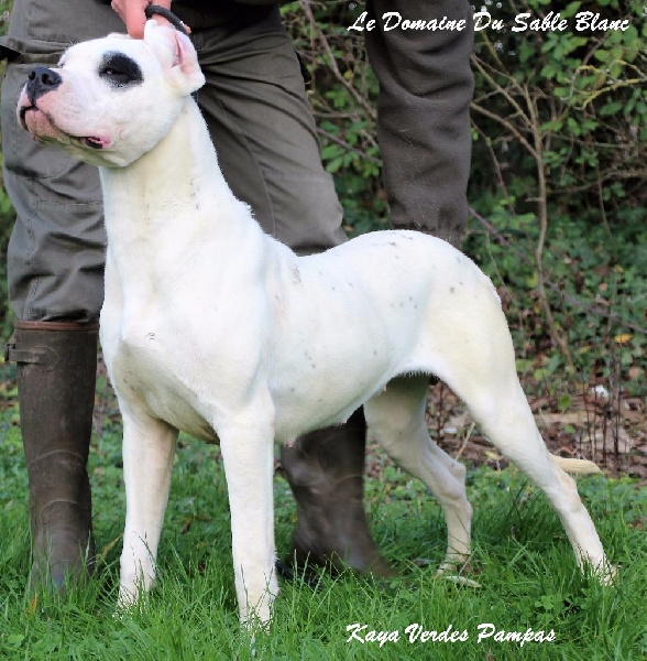 Publication : du Domaine du Sable Blanc Auteur : Le Domaine Du Sable Blanc