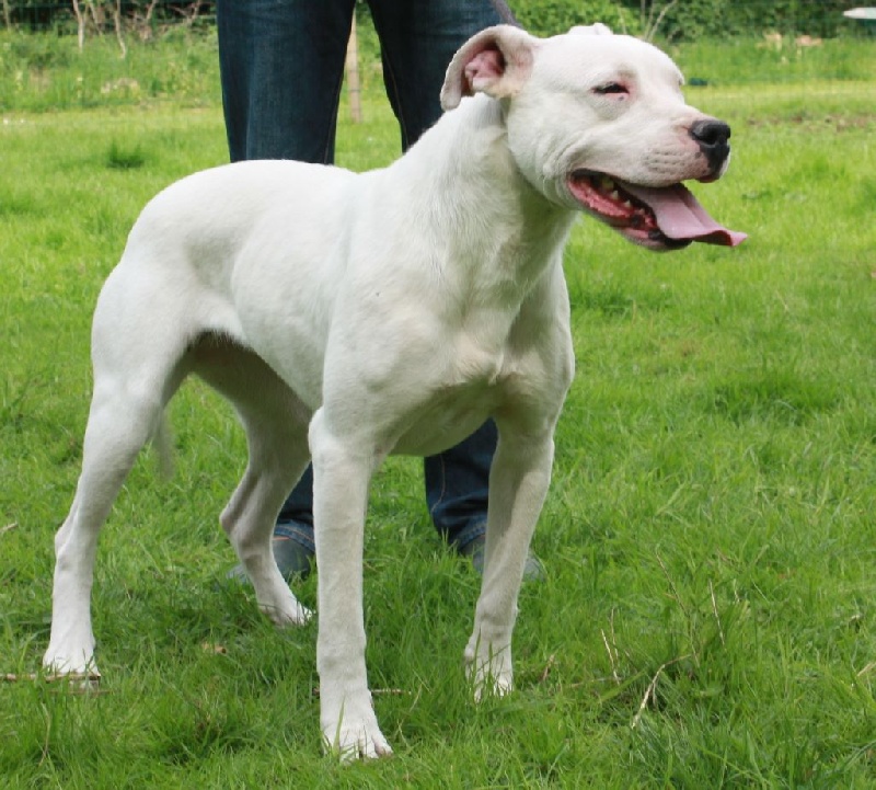 Publication : du Domaine du Sable Blanc Auteur : Le Domaine Du Sable Blanc