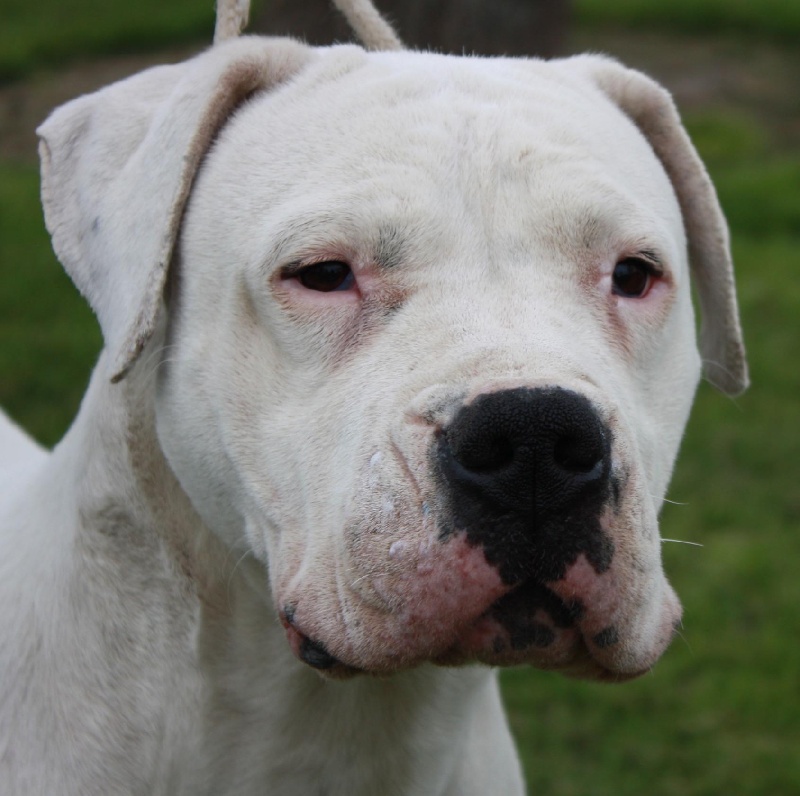 Publication : du Domaine du Sable Blanc Auteur : Delphine