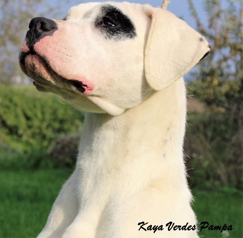 Publication : du Domaine du Sable Blanc Auteur : Le Domaine Du Sable Blanc