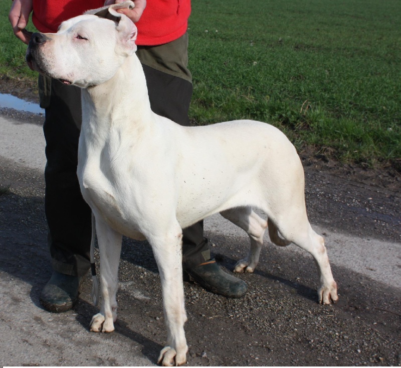 Publication : du Domaine du Sable Blanc Auteur : Le Domaine Du Sable Blanc