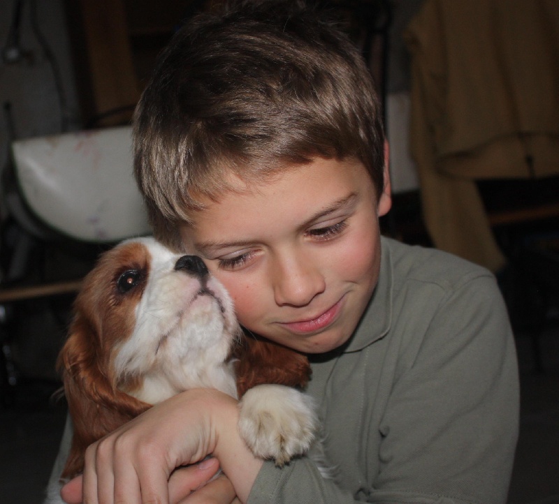 Publication : du Domaine du Sable Blanc