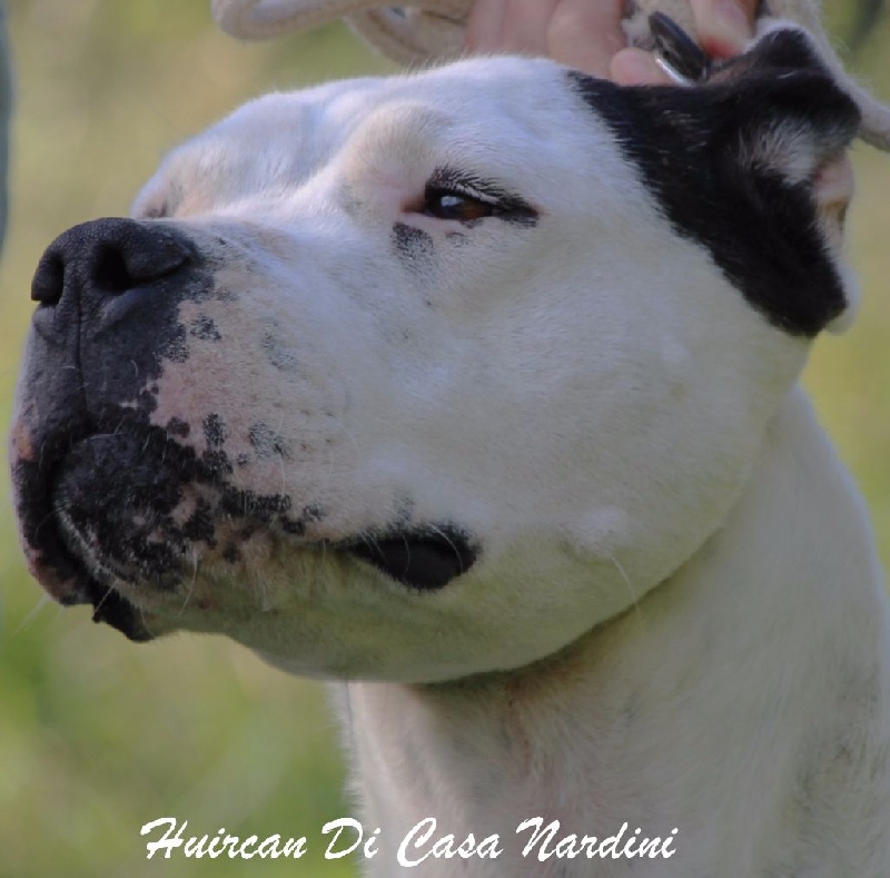 Publication : du Domaine du Sable Blanc Auteur : Le Domaine Du Sable Blanc