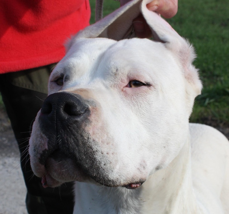 Publication : du Domaine du Sable Blanc Auteur : Le Domaine Du Sable Blanc