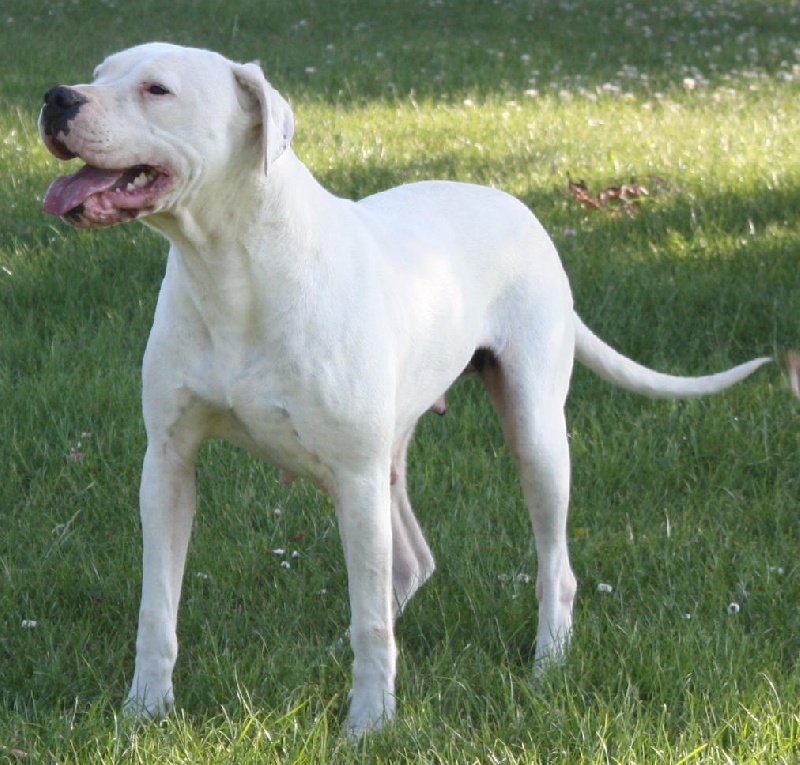 Publication : du Domaine du Sable Blanc Auteur : Delphine