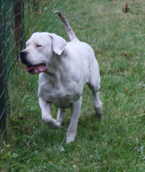 Publication : du Domaine du Sable Blanc Auteur : Le Domaine Du Sable Blanc