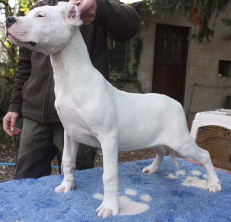 Publication : du Domaine du Sable Blanc Auteur : Le Domaine Du Sable Blanc