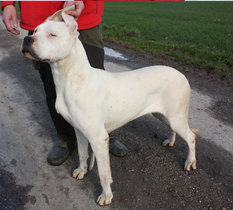 Publication : du Domaine du Sable Blanc Auteur : Le Domaine Du Sable Blanc