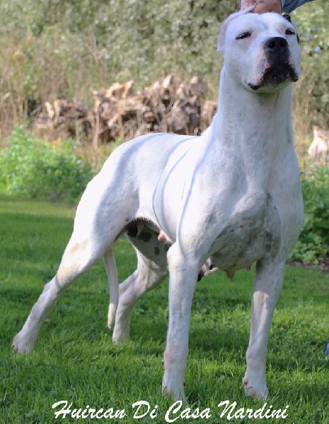 Publication : du Domaine du Sable Blanc Auteur : Le Domaine Du Sable Blanc