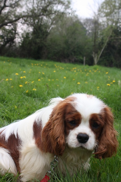 Publication : du Domaine du Sable Blanc