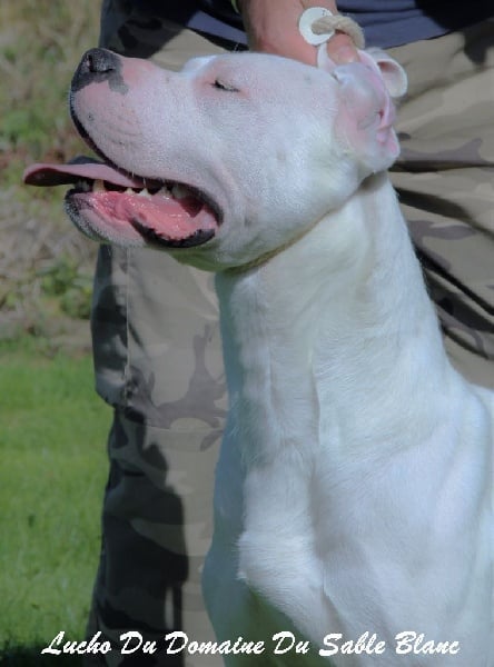 Publication : du Domaine du Sable Blanc Auteur : Le Domaine Du Sable Blanc