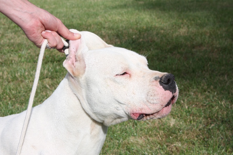 Publication : du Domaine du Sable Blanc Auteur : Delphine