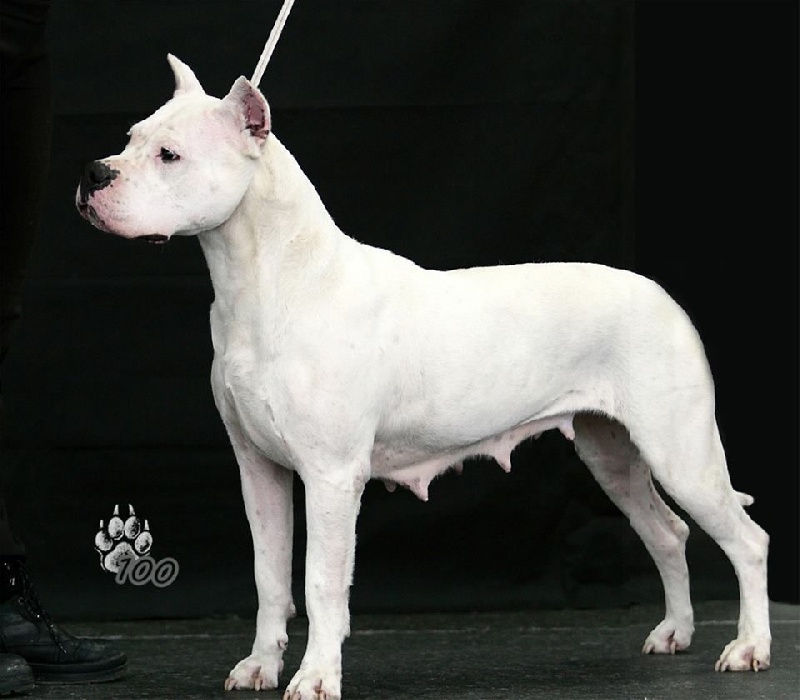 Publication : du Domaine du Sable Blanc Auteur : Le Domaine Du Sable Blanc